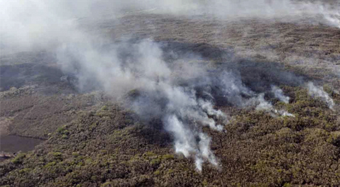 05 - Enchiladas Verdes Weekly - meetingsmexico