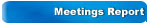Meetings Report